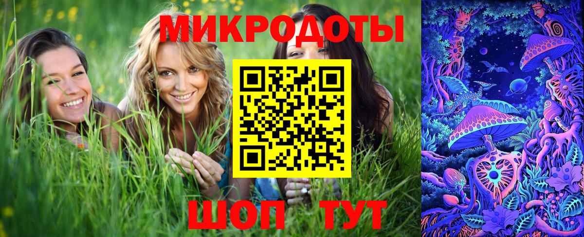 Галлюциногенные грибы Psilocybe Советская Гавань