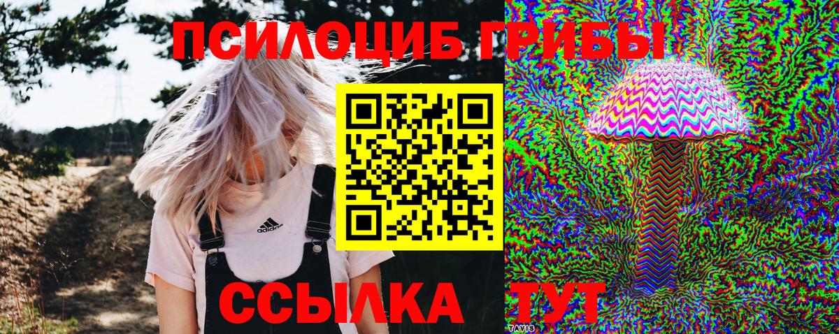 закладка  Галлюциногенные грибы Psilocybine cubensis  Вход с VPN  Советская Гавань 
